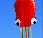 3D 4M Large Octopus Kite with Handle Line Children Outdoor Summer Game Professional Stunt Software Power Beach Kite Kids Toy kids fashion novaa 3