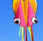 3D 4M Large Octopus Kite with Handle Line Children Outdoor Summer Game Professional Stunt Software Power Beach Kite Kids Toy kids fashion novaa 7