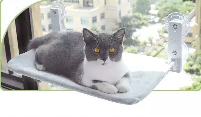 Cat Suction Cup Window Glass Hammock Pet Cat Pets Products pet Vismera Grey 30x45CM Soft flannelet