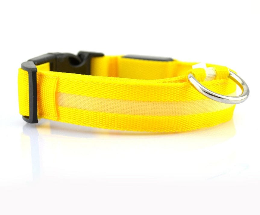 Nylon LED Pet Dog Luminous Collar Night Safety Flashing Glow in Dark Dog Cat Leash Adjustable Pet Supplies pet Vismera