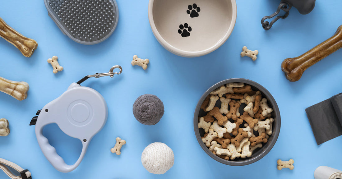 Essential Gear for Outings with Your Pet, From Water Bottles to Smart Collars – Essential Travel Gear!