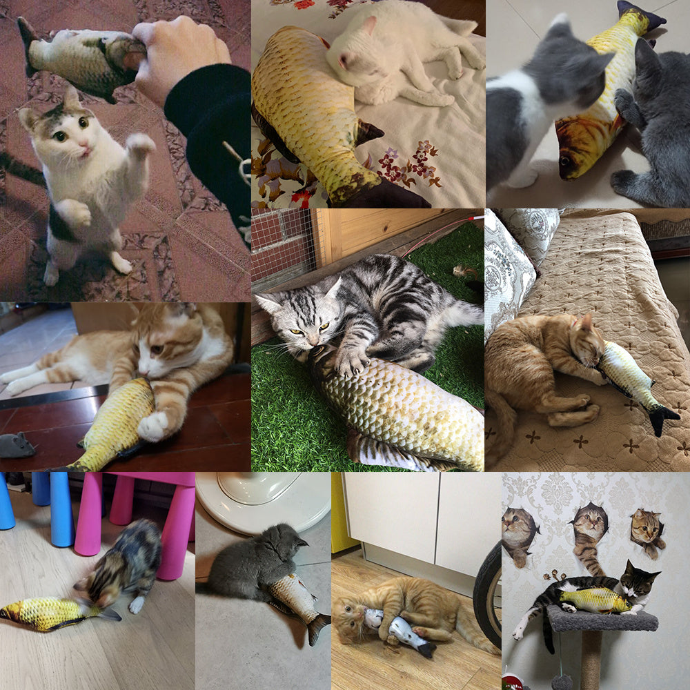 Without Cat Nip Version - Electric Jumping Fish Simulation Electric Fish Toy Pet peteezee