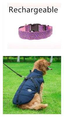 LED Dog Collar Safety Adjustable Nylon Leopard Pet Collar Pet peteezee MandM Pink RechargeableANDBlue