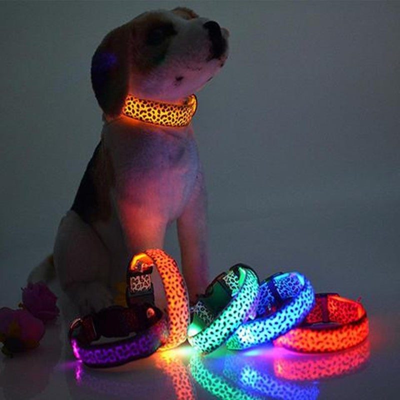 LED Dog Collar Safety Adjustable Nylon Leopard Pet Collar Pet peteezee