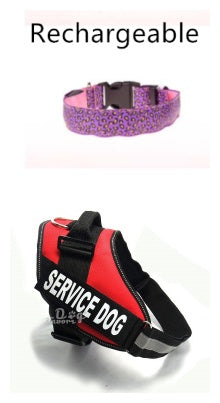 LED Dog Collar Safety Adjustable Nylon Leopard Pet Collar Pet peteezee MandM Pink RechargeableANDRed