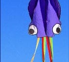 3D 4M Large Octopus Kite with Handle Line Children Outdoor Summer Game Professional Stunt Software Power Beach Kite Kids Toy kids fashion novaa 8