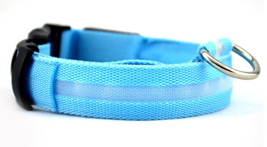 Nylon LED Pet Dog Luminous Collar Night Safety Flashing Glow in Dark Dog Cat Leash Adjustable Pet Supplies pet Vismera blue L chargable