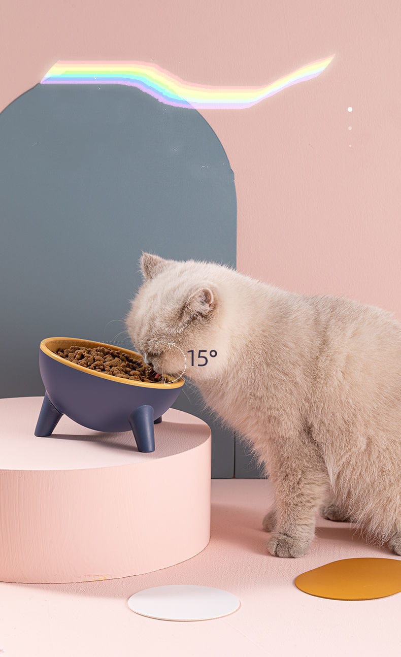 Cat Dog Bowl With Stand Pet Feeding Food Bowls Dogs Bunny Rabbit Nordic Color Feeder Product Supplies Pet Accessories pet Vismera