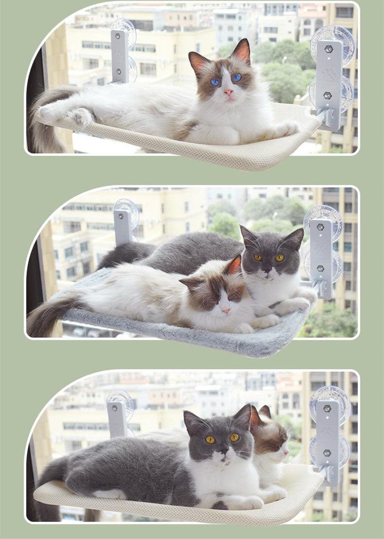 Cat Suction Cup Window Glass Hammock Pet Cat Pets Products pet Vismera