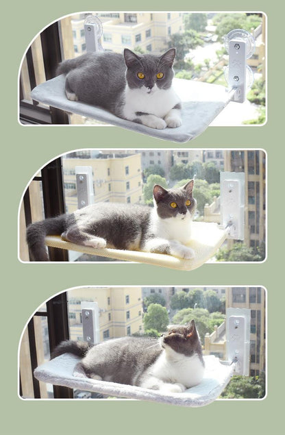 Cat Suction Cup Window Glass Hammock Pet Cat Pets Products pet Vismera