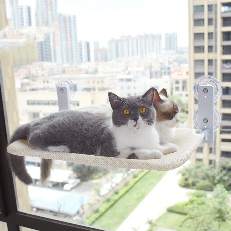 Cat Suction Cup Window Glass Hammock Pet Cat Pets Products pet Vismera