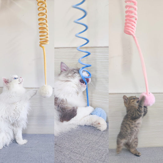 Cat Toy Self-Hi Sucker Spring Rabbit Hair Ball Interactive Play Pet Supplies Interactive Toys pet Vismera