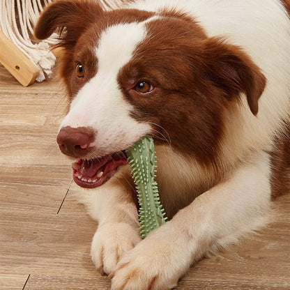 Chew Toys For Dog Teeth Cleaning pet Vismera