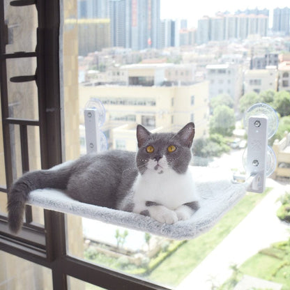 Cat Suction Cup Window Glass Hammock Pet Cat Pets Products pet Vismera Grey 30x45CM Rabbit hair plush