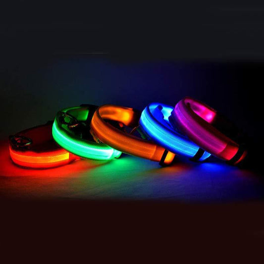 Nylon LED Pet Dog Luminous Collar Night Safety Flashing Glow in Dark Dog Cat Leash Adjustable Pet Supplies pet Vismera