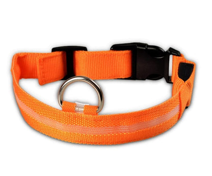 Nylon LED Pet Dog Luminous Collar Night Safety Flashing Glow in Dark Dog Cat Leash Adjustable Pet Supplies pet Vismera orange L chargable