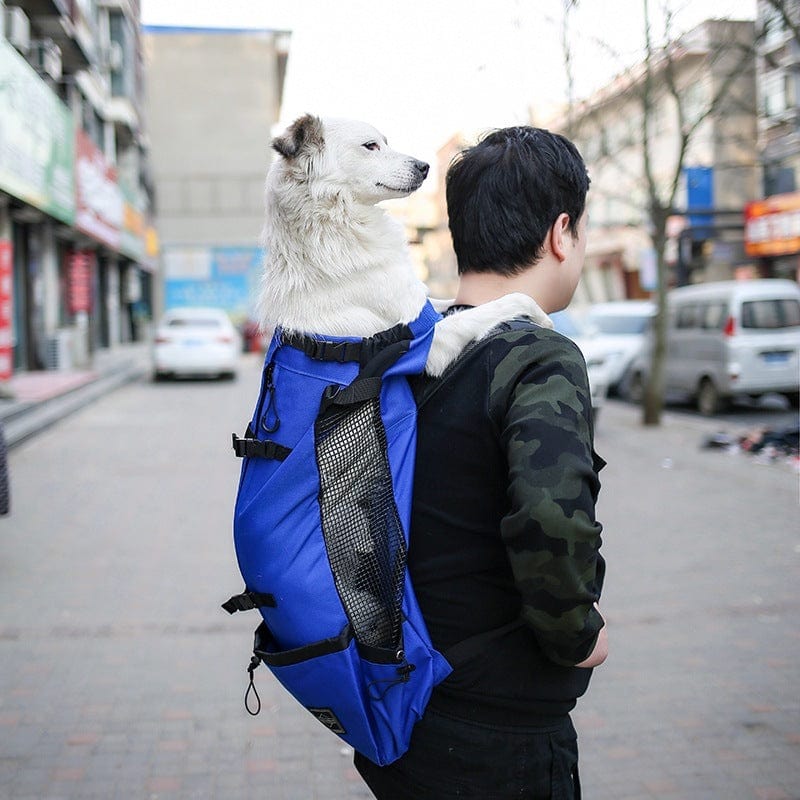 Pet Dog Carrier Bag Carrier For Dogs Backpack Out Double Shoulder Portable Travel Backpack Outdoor Dog Carrier Bag Travel pet Vismera
