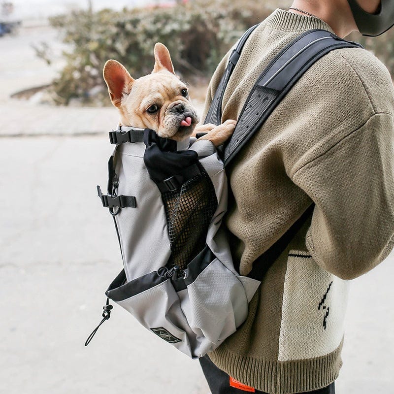 Pet Dog Carrier Bag Carrier For Dogs Backpack Out Double Shoulder Portable Travel Backpack Outdoor Dog Carrier Bag Travel pet Vismera