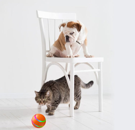 Pet New Cat Wicked Ball Toy Intelligent Ball USB Cat Toys Self Rotating Ball Automatic Rotation Ball pet Vismera