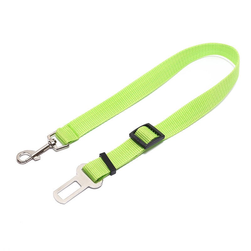 Fixed Strap Polyester Dog Strap Dog Leash Dog Leash Trending Products Vismera 70cm Light Green