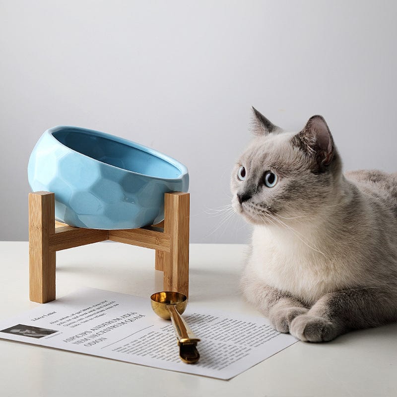 Pet bowl oblique mouth cat bowl food bowl dog bowl method bucket food bowl Trending Products Vismera Blue