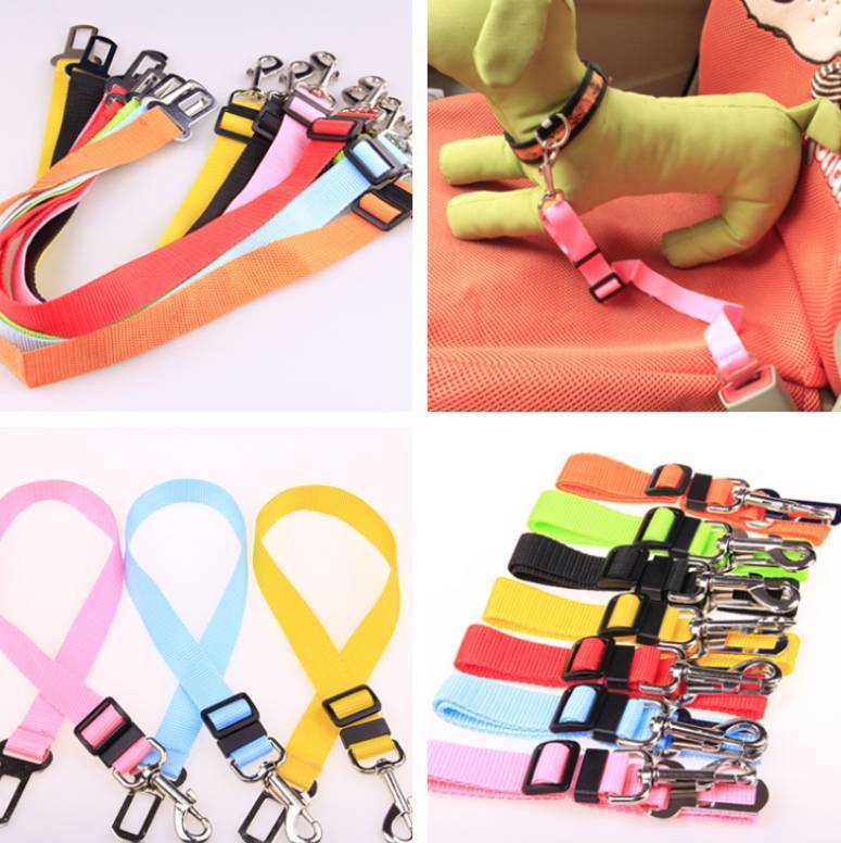 Fixed Strap Polyester Dog Strap Dog Leash Dog Leash Trending Products Vismera