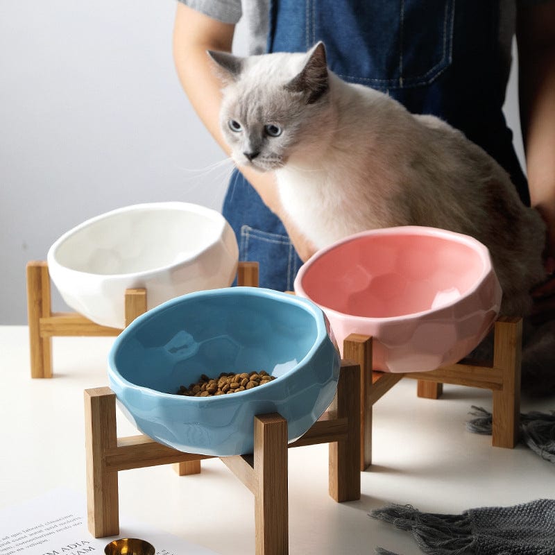 Pet bowl oblique mouth cat bowl food bowl dog bowl method bucket food bowl Trending Products Vismera